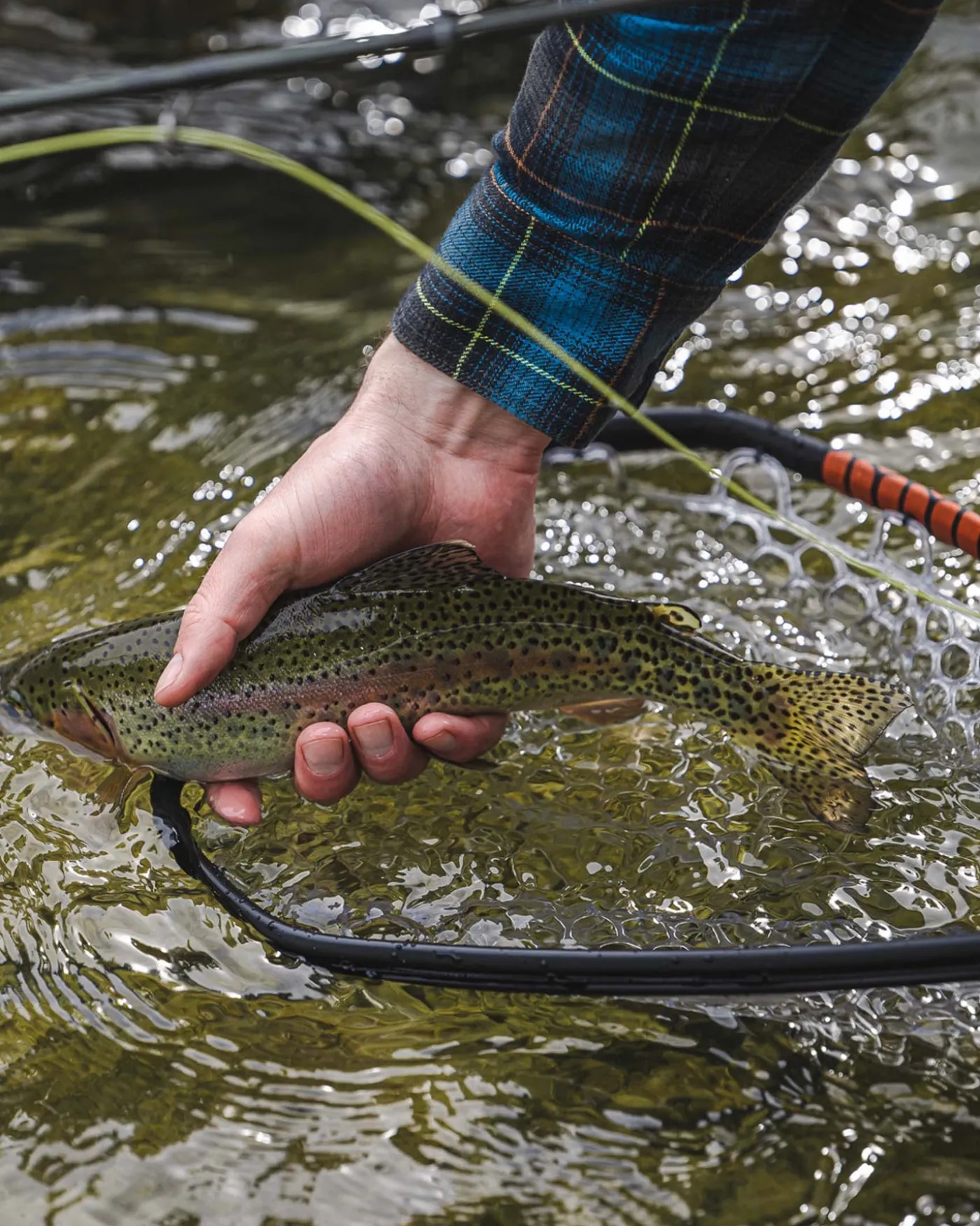 Daymaker Landing Net -Small